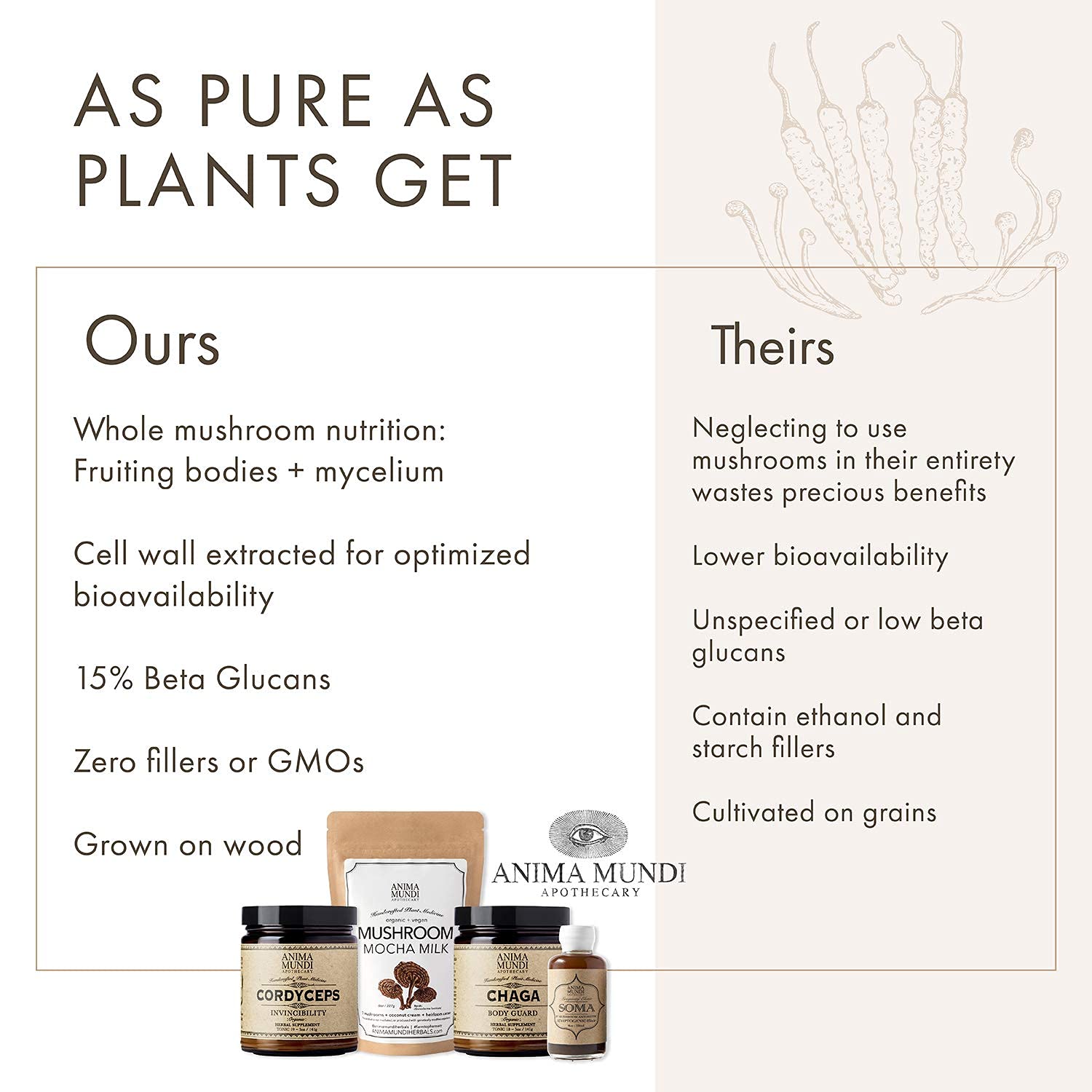 Café con chaga de Anima Mundi Apothecary para energía suave