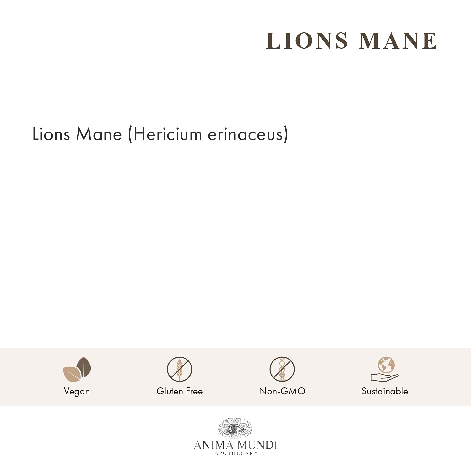 Anima Mundi Apothecary melena de león polvo orgánico estadounidense para uso diario.