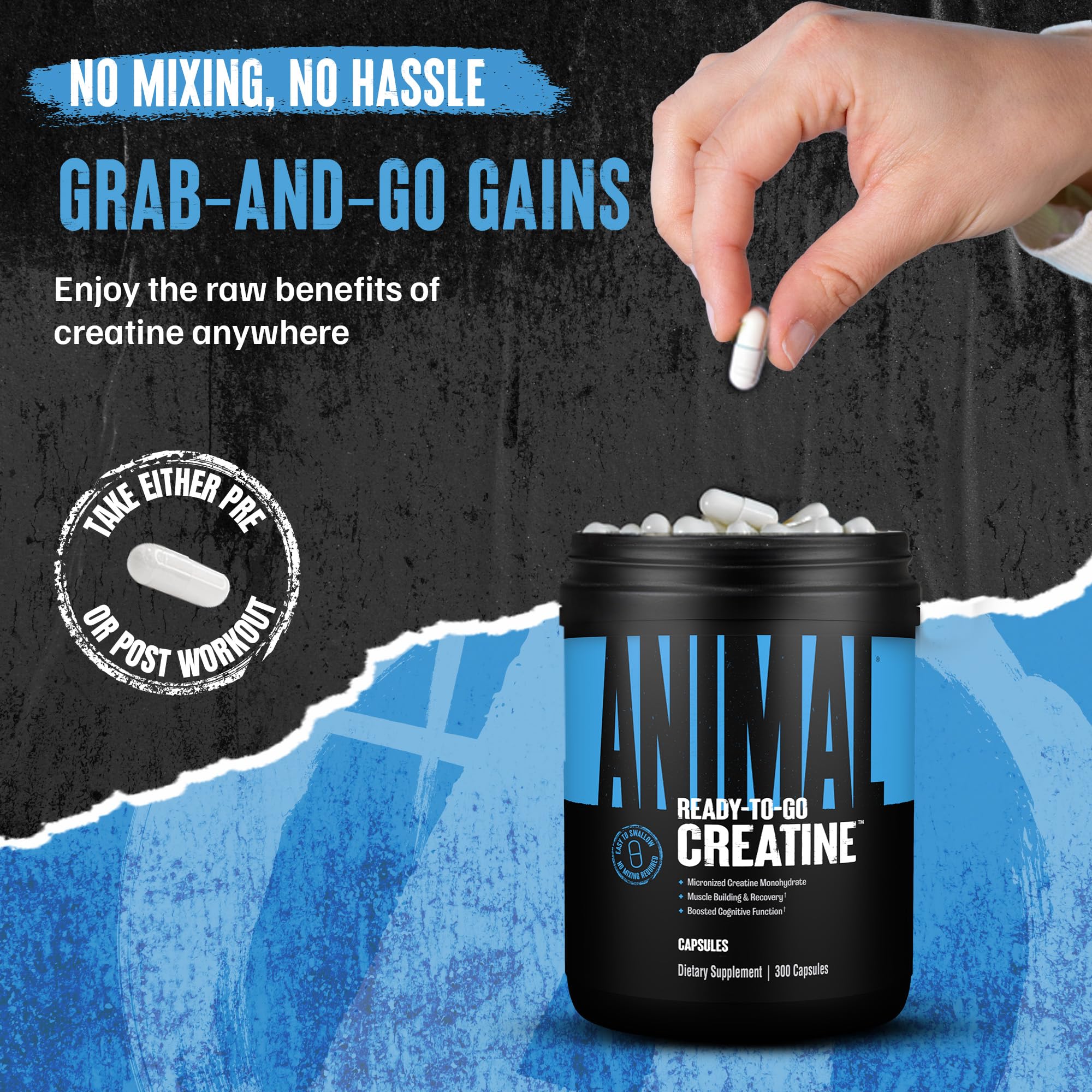 Animal Creatina cápsulas calidad GMP producto probado y seguro