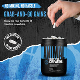 Animal Creatina cápsulas calidad GMP producto probado y seguro