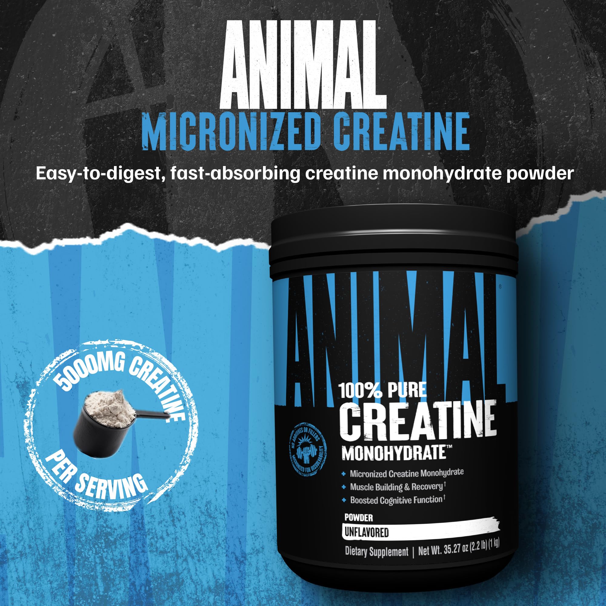 Cuchara medidora de Animal Creatina Monohidrato para dosis precisas.