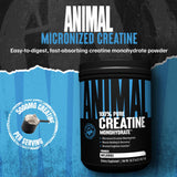 Cuchara medidora de Animal Creatina Monohidrato para dosis precisas.
