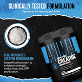 Animal Creatine Monohidrato: envase práctico de 300 g para uso diario.