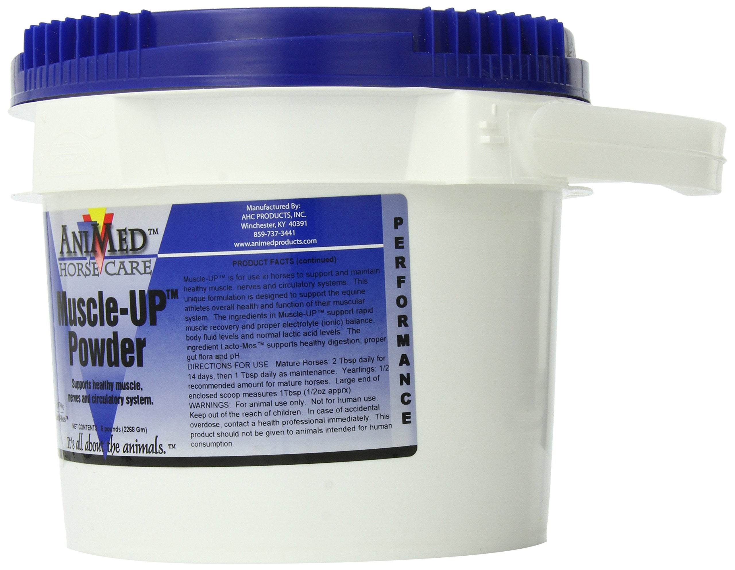 ANIMED MuscleUp Polvo: etiqueta detallada para revisar ingredientes y beneficios