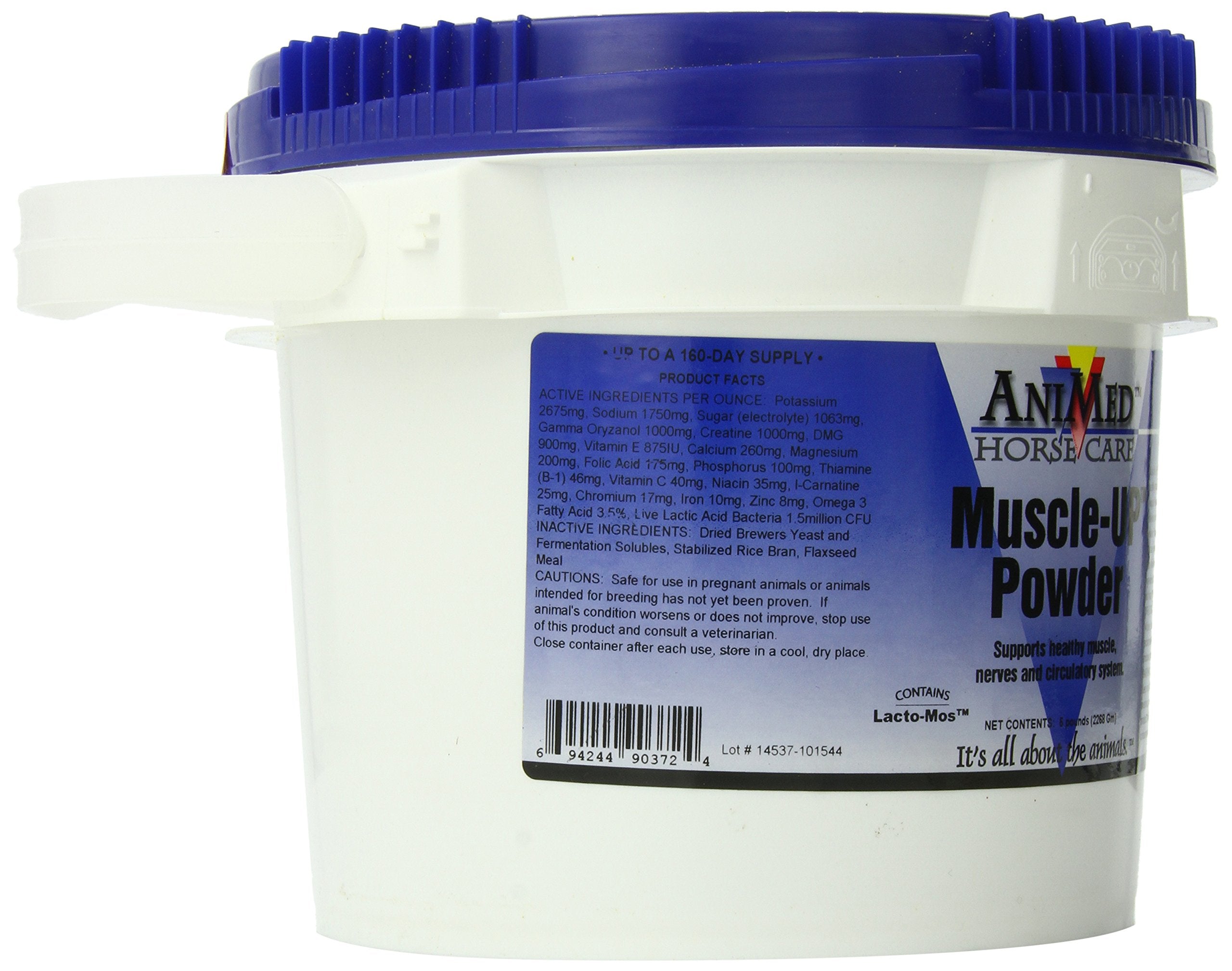 ANIMED MuscleUp Polvo: mezcla en vaso para una hidratación equilibrada