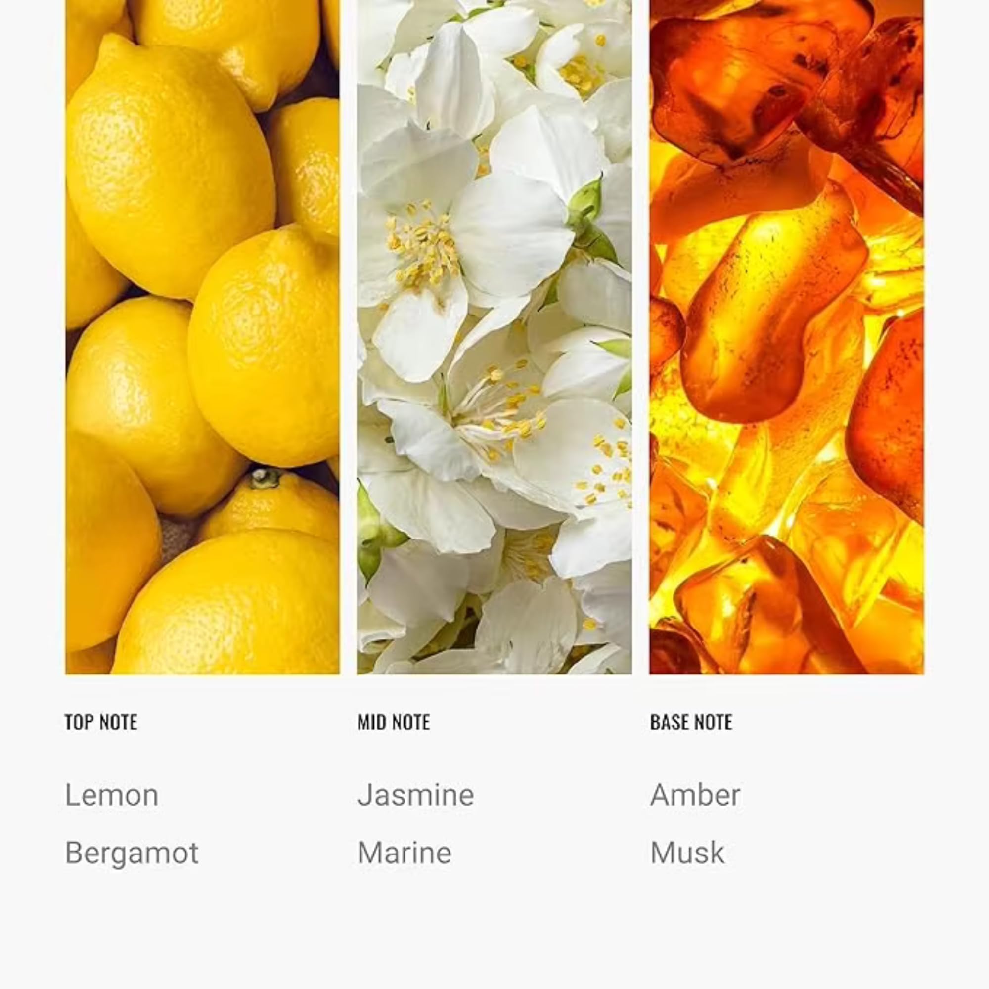 ANTAL HAYAT Cabana difusor jazmín crea calma y elegancia floral.