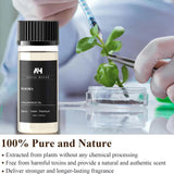 ANTAL HAYAT Tooba: experiencia de aromaterapia suave para relajación en casa