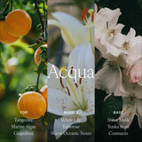 Antica Farmacista Acqua: entrada perfumada para una bienvenida agradable.