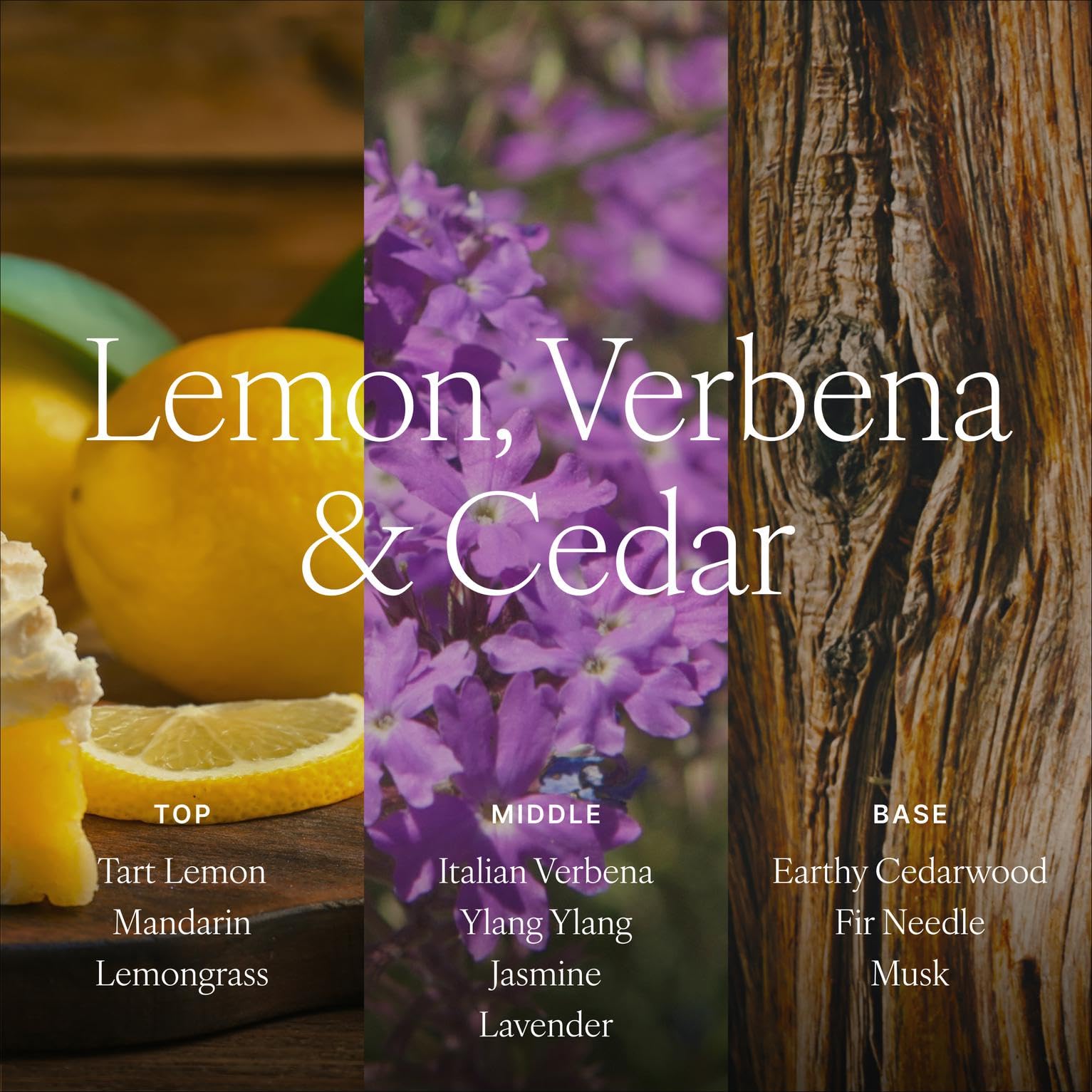 Notas citricas-verbena del difusor Antica Farmacista