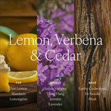 Notas citricas-verbena del difusor Antica Farmacista