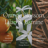 Notas cítricas y florales de azahar, lila y jazmín perfuman el salón.