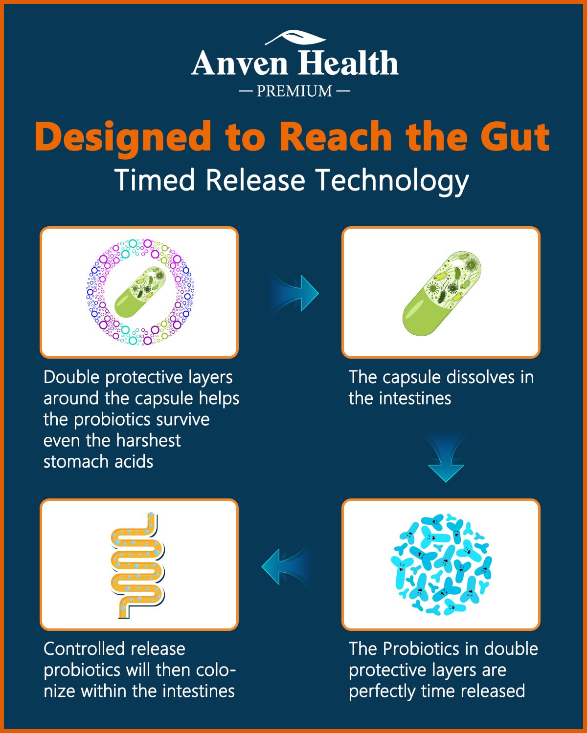 Anven Health Probioticos, tecnología de liberación retardada, llega viva al intestino