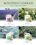 AOOVOO vela patchouli cedro balance con lapislazuli para concentración y equilibrio