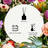 Sala de estar con difusor Charcoal, crea ambiente acogedor y perfumado.