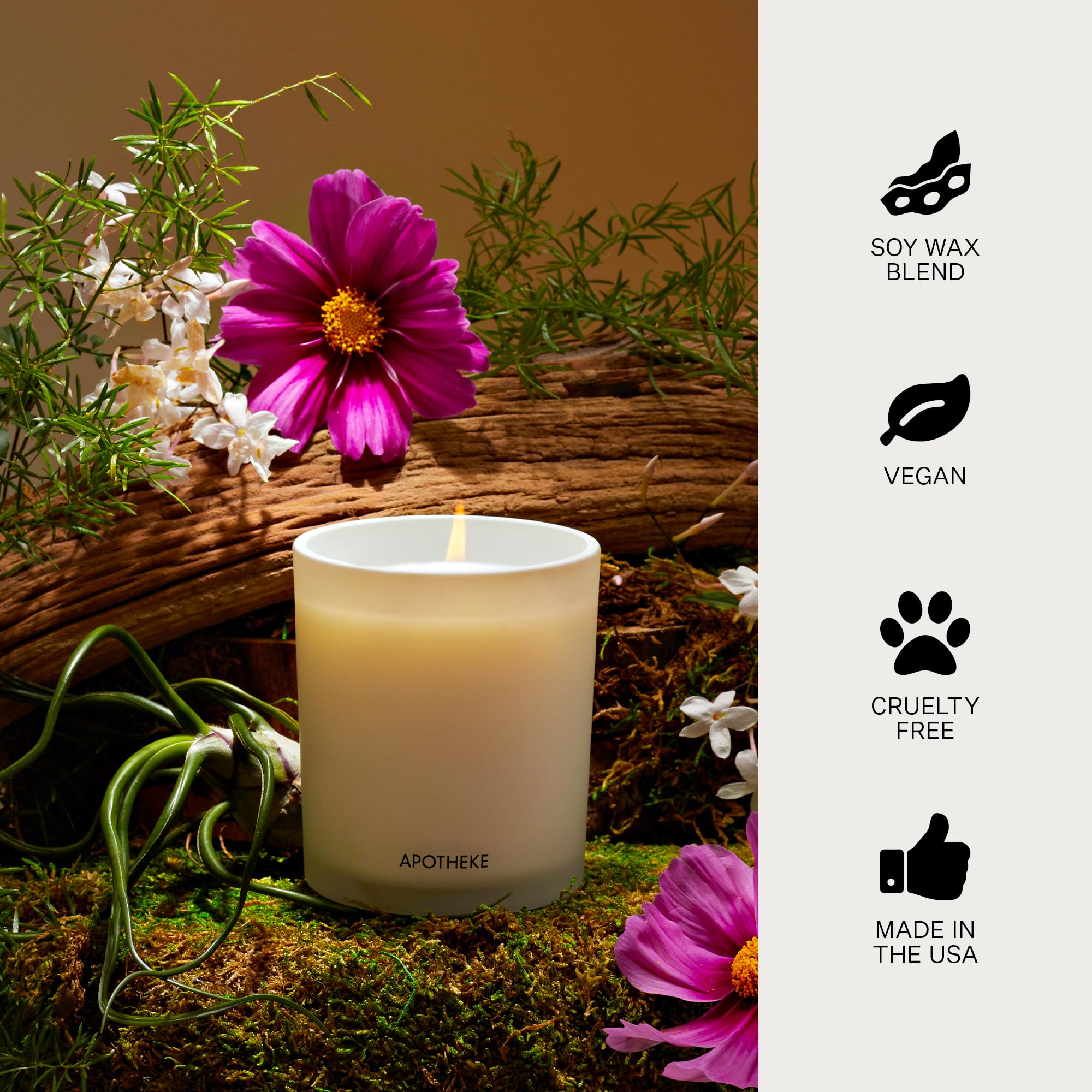 Notas de fragancia de APOTHEKE Amber Woods perfuman suavemente la habitación.
