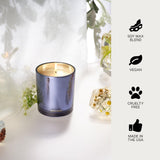 APOTHEKE Cardamom Chestnut Candle – 10.5 oz, Soy Wax, Non-Toxic, Blue Jar