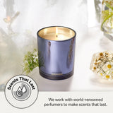 APOTHEKE Cardamom Chestnut Candle – 10.5 oz, Soy Wax, Non-Toxic, Blue Jar