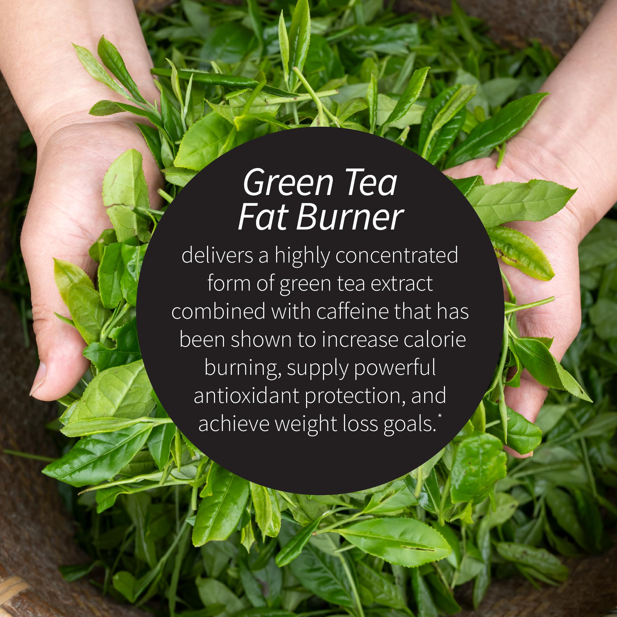 Etiqueta de Applied Nutrition Green Tea Fat Burner con ingredientes clave