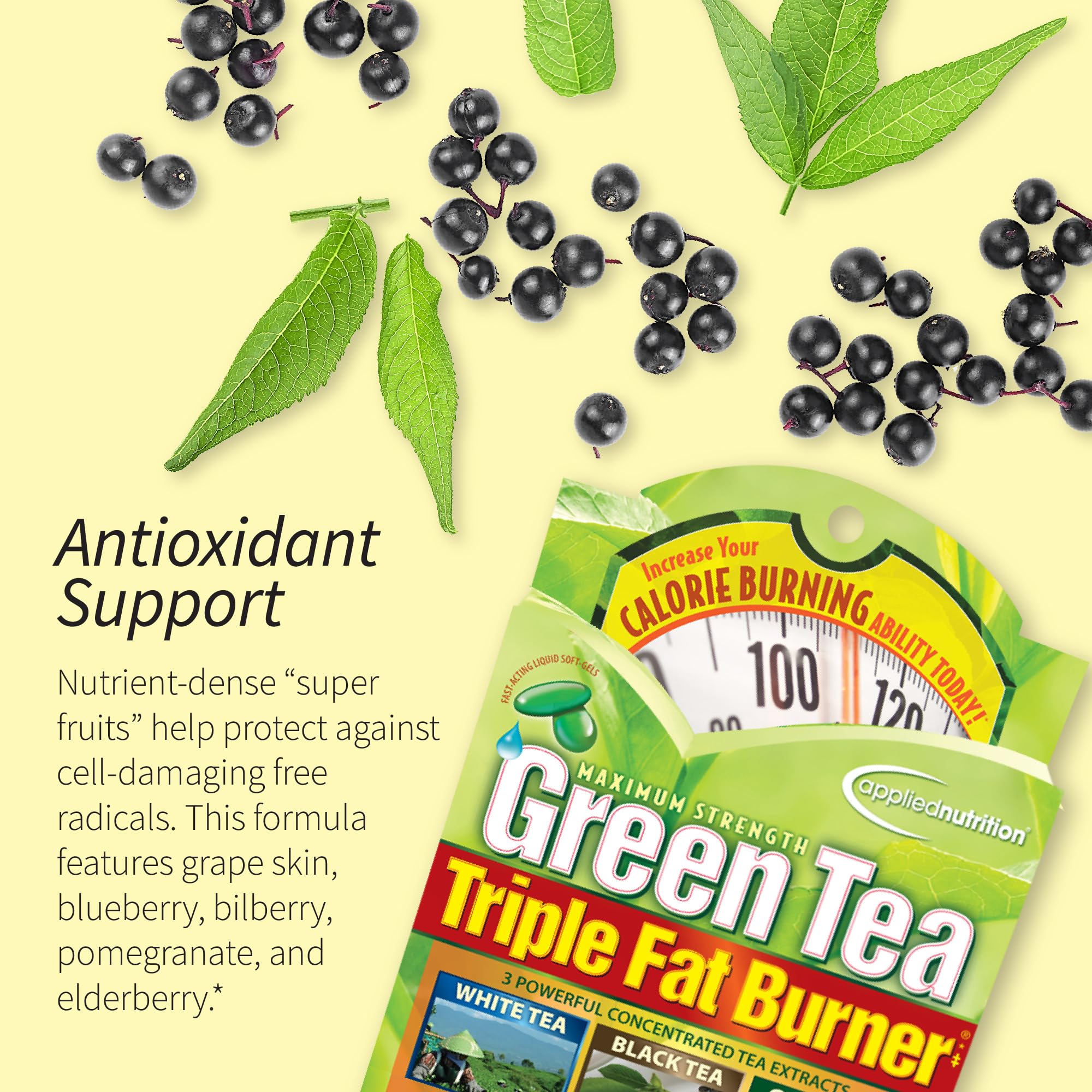 Applied Nutrition té verde quemador de grasa, primer plano de ingredientes clave como EGCG.