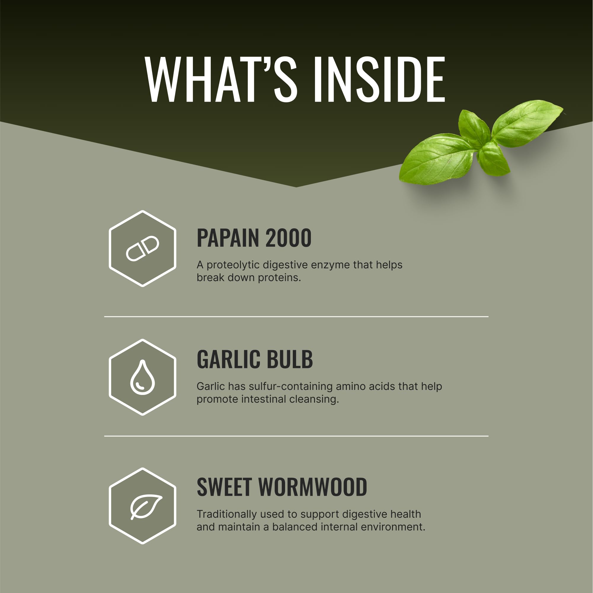 Parastrin ingredientes clave, ajo y nogal para perfil herbal de apoyo.