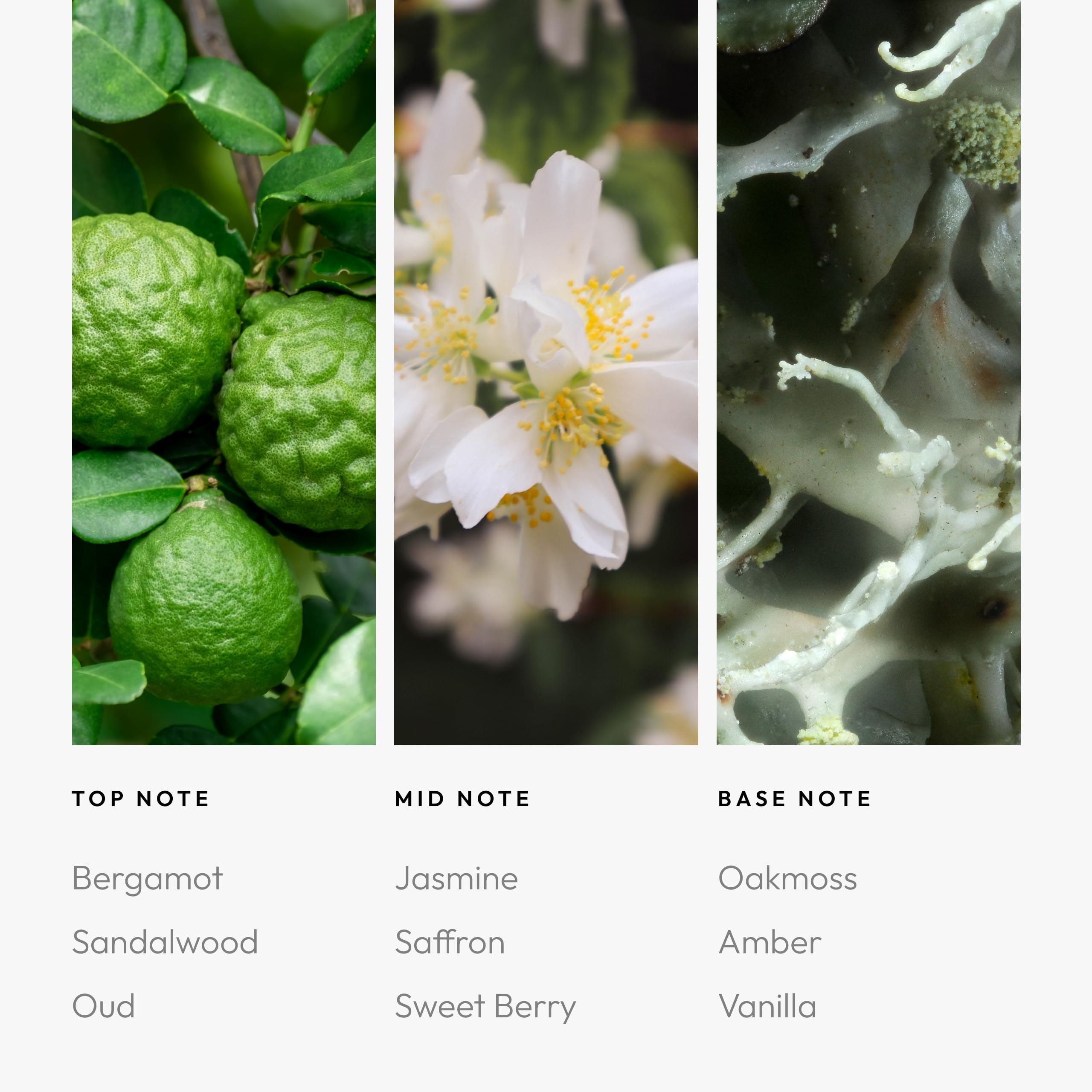 Aroma360 Chandelier: botella ambar conserva fragancias por más tiempo.