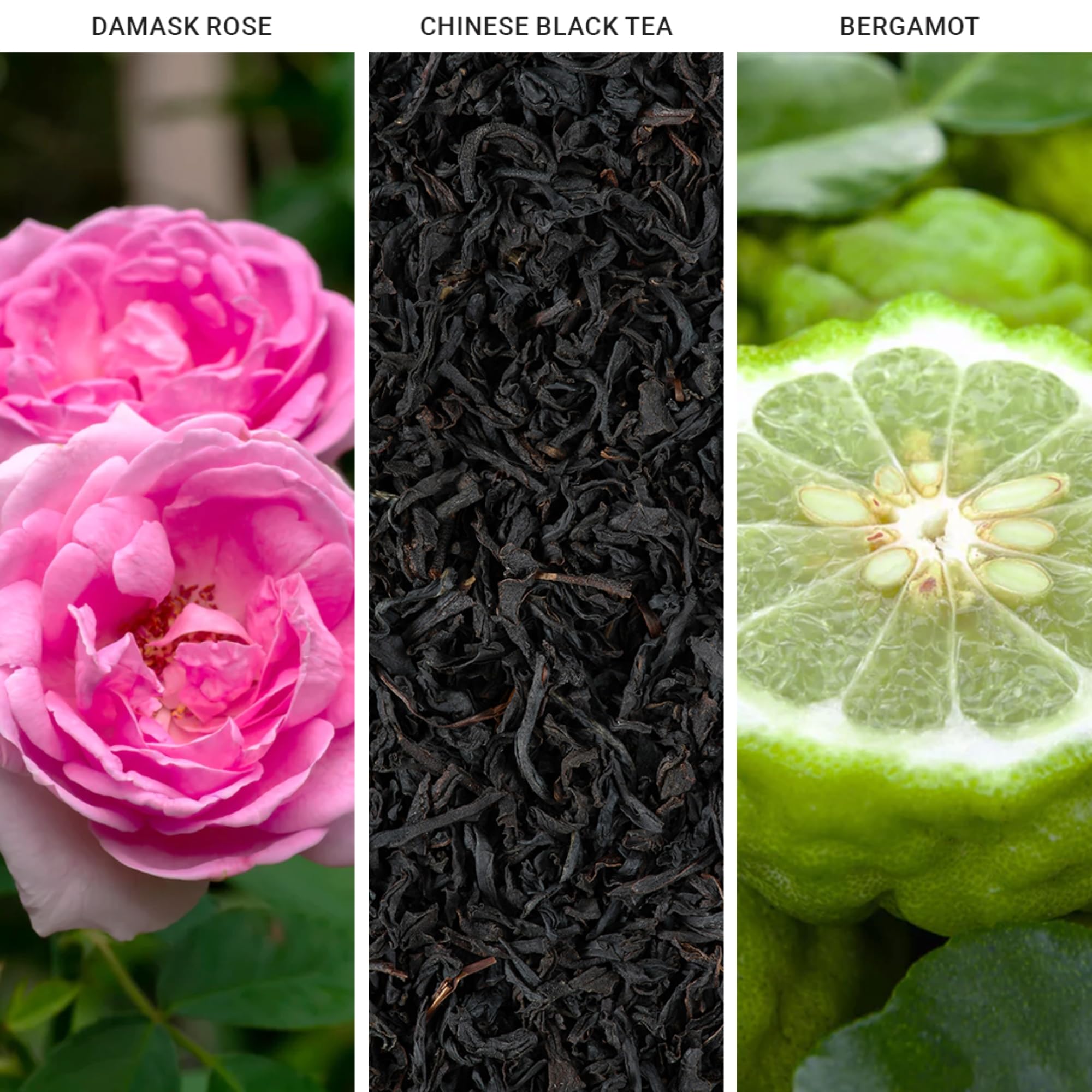 Aroma360 Jedi: fragancia suave de té negro chino para serenidad diaria.
