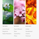 Aroma360 difusor de hogar para ambiente lujoso continuo.
