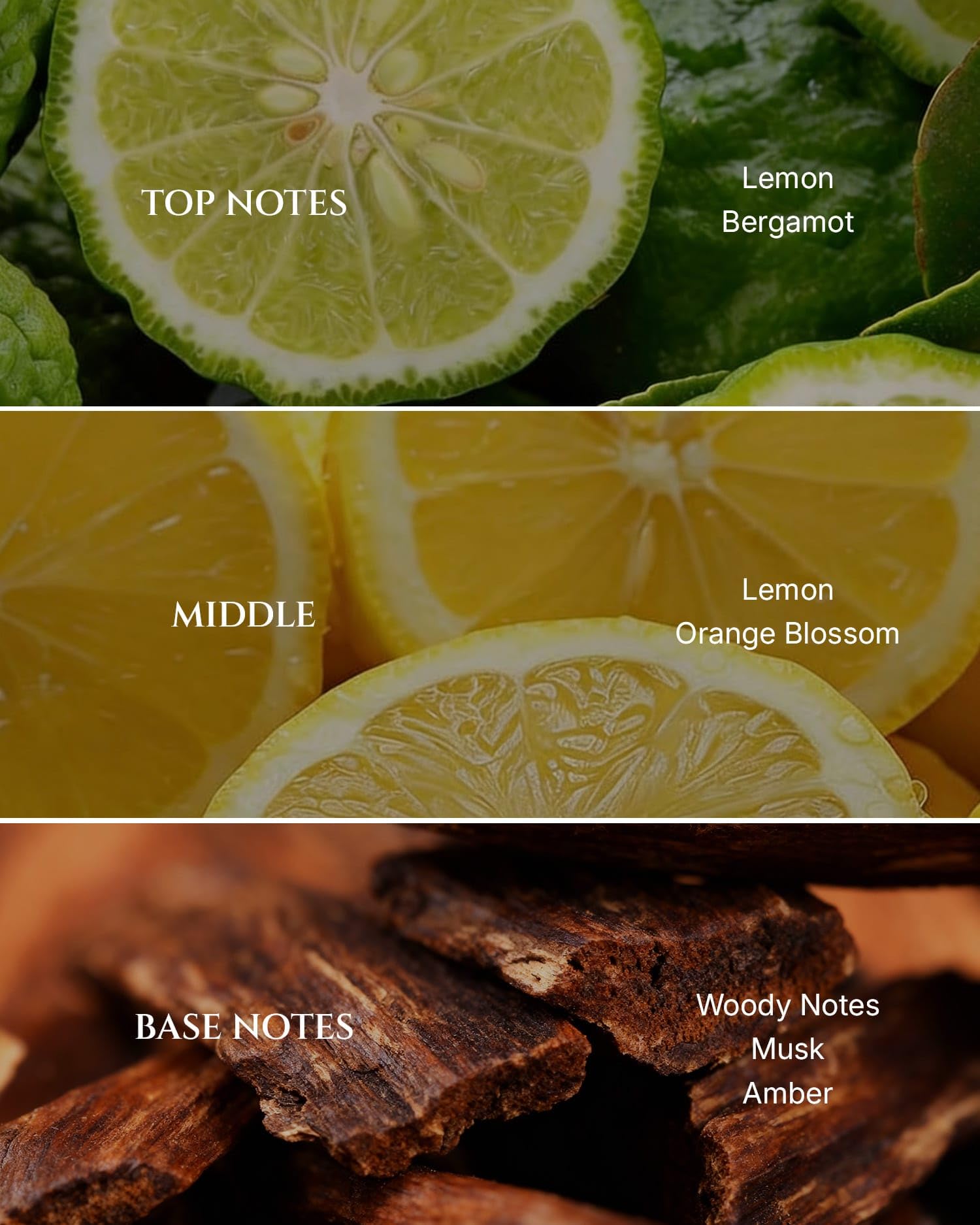 Aromadd Citrus Hotel: bergamota en difusor para espacios modernos y aromáticos