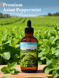 Aromalya difusor con aceite de pimienta para uso diario y ambiente fresco.