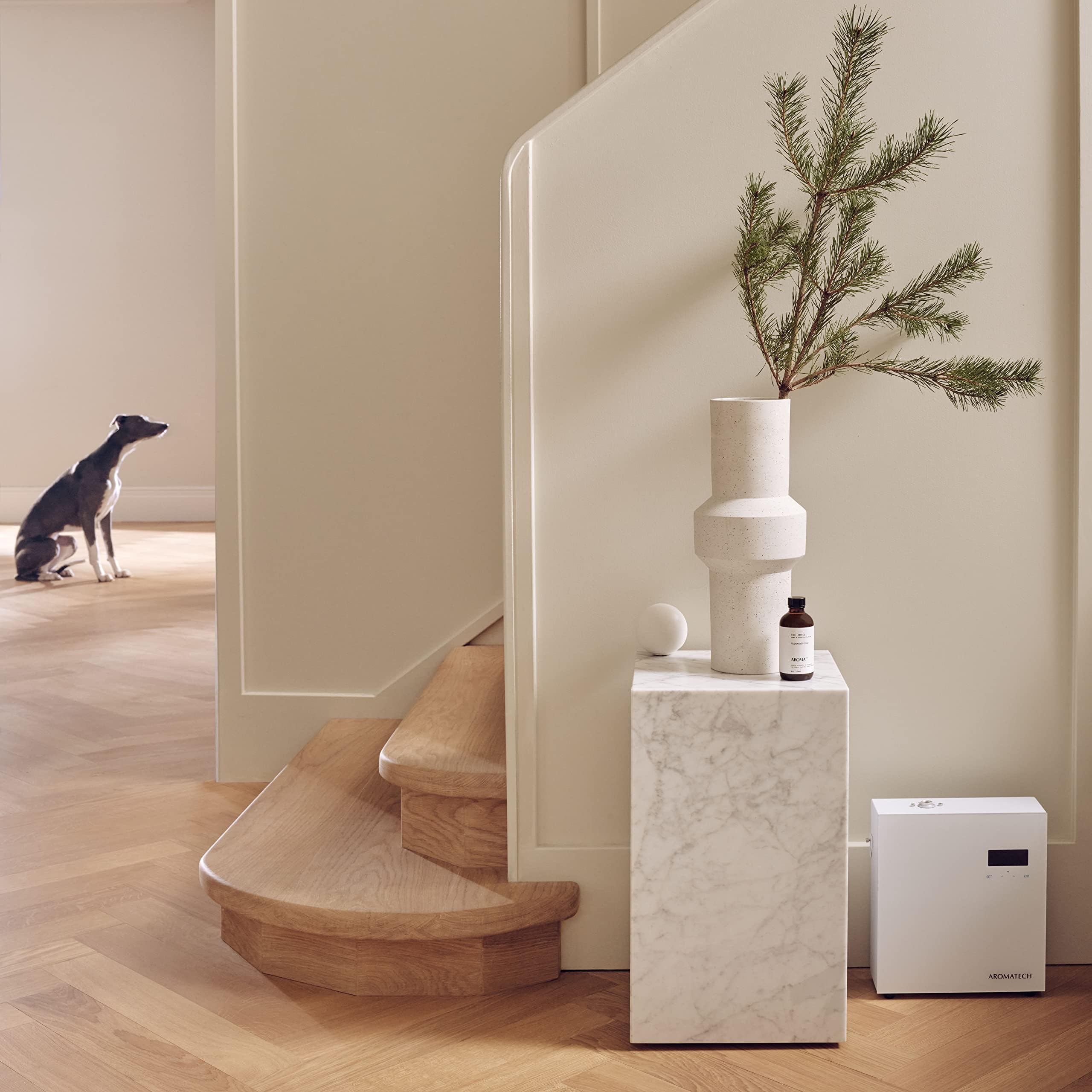 AromaPro, integración HVAC para perfumar espacios amplios.