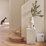 AromaPro, integración HVAC para perfumar espacios amplios.