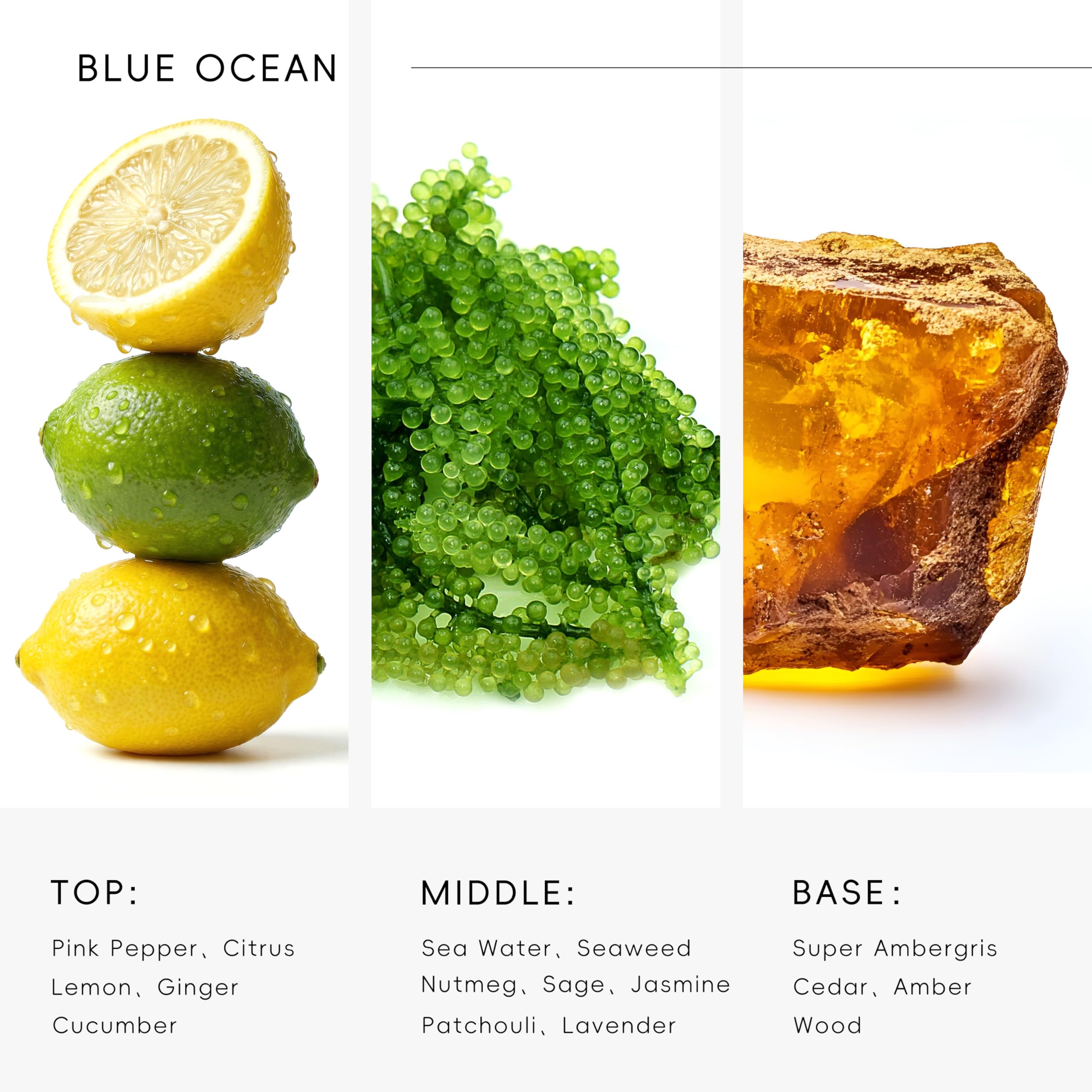 Fondo de ámbar y cedro, de AROMASOUL Océano Azul, para un toque marino duradero.