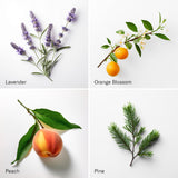 AromaTech mezcla-aceites-esenciales-pura: fragancias complejas y puras para cualquier espacio.