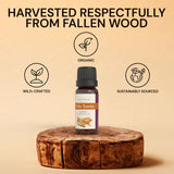 ArOmis Aromatherapy Palo Santo – destilación al vapor para aroma limpio y consistente.