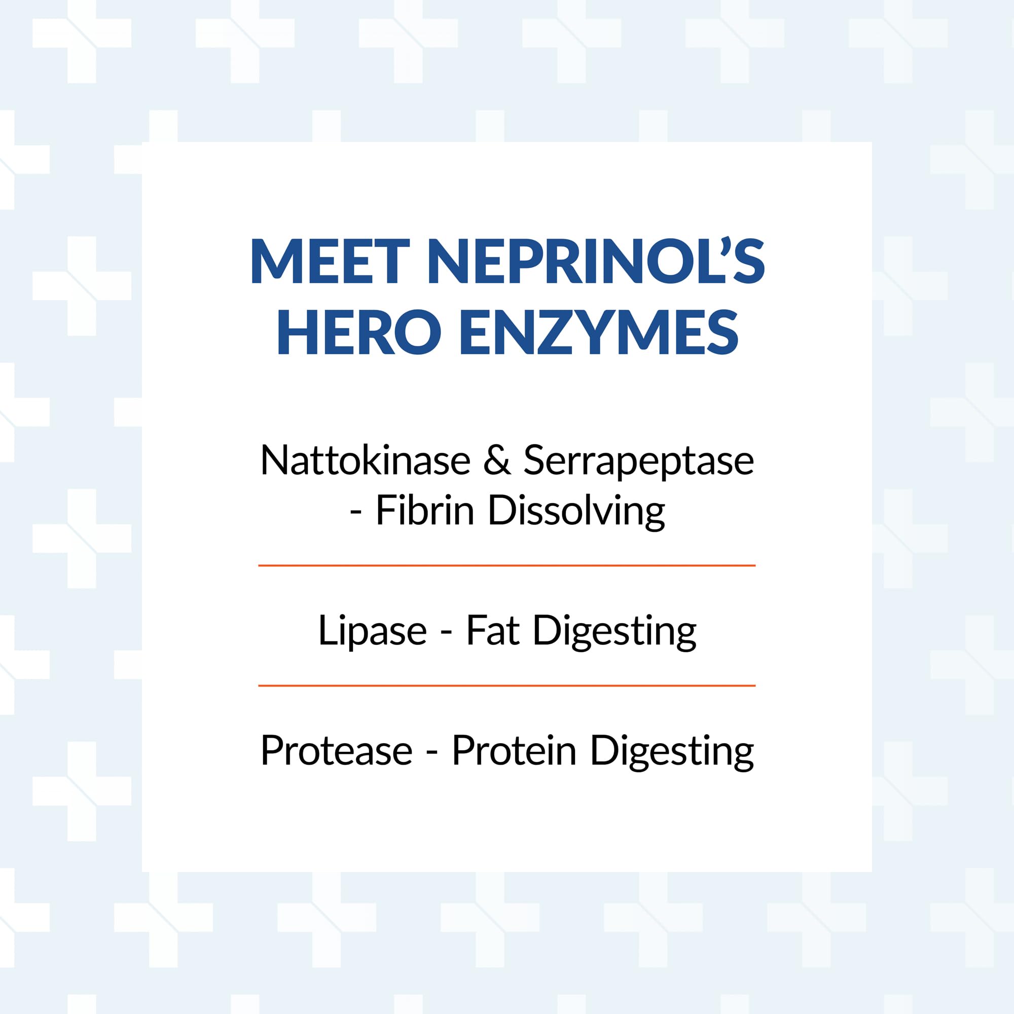 Arthur Andrew Medical Neprinol AFD ingredients panel highlights serrapeptase and nattokinase for enzyme support