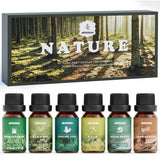 ARVIDSSON conjunto de aceites naturales con frascos de 10 ml para velas y difusores