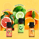 ARVIDSSON difusor habitacion con aceites citricos