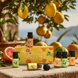 ARVIDSSON frascos aceites citricos para difusor y bienestar diario