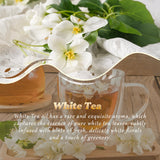 ARVIDSSON té blanco con aroma floral-terroso para ambientes frescos