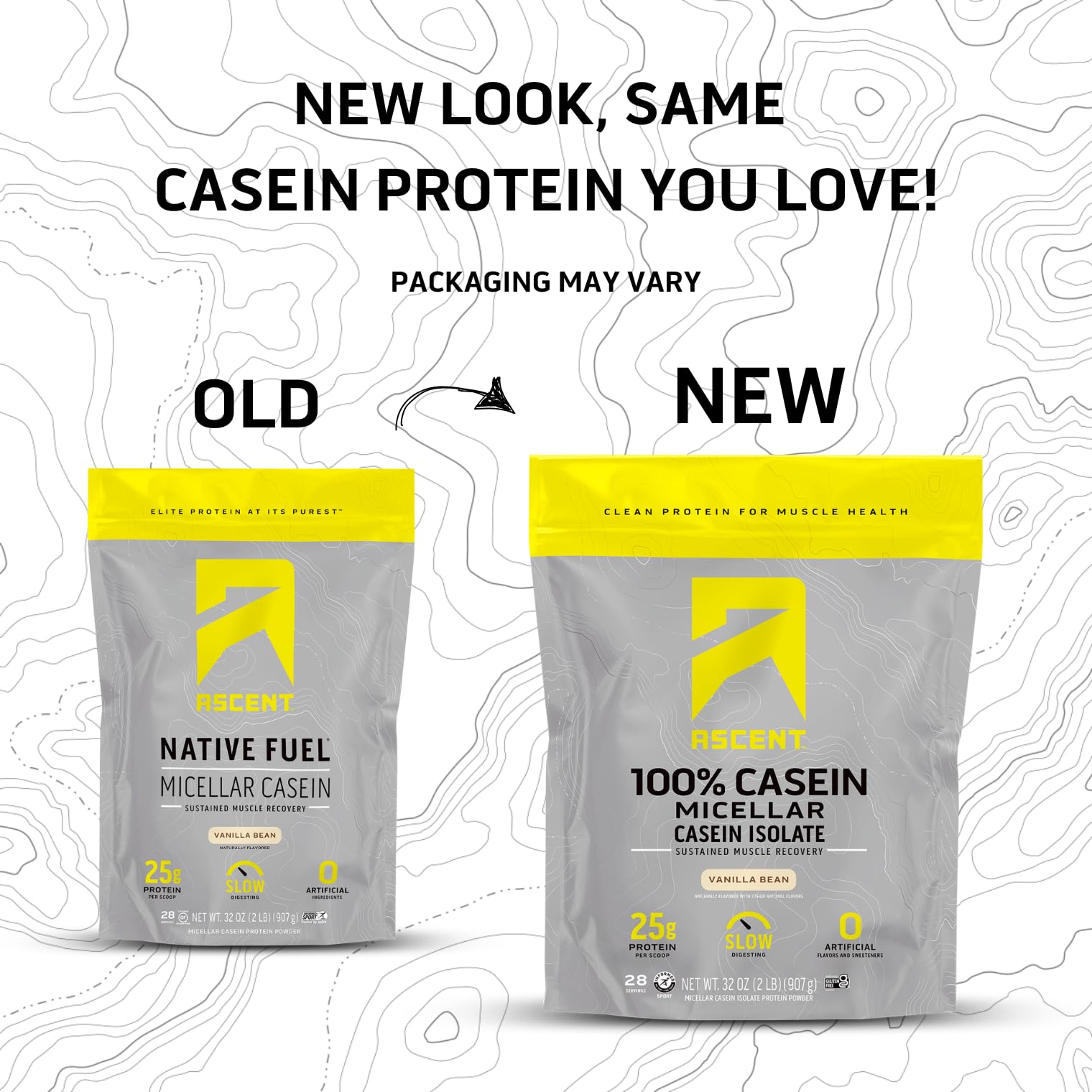Pudin de vainilla con proteína caseína micelar Ascent