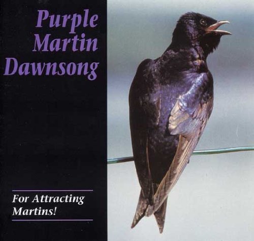Disco Canción del Amanecer para martines púrpura, atrae aves y facilita la observación de su llegada.