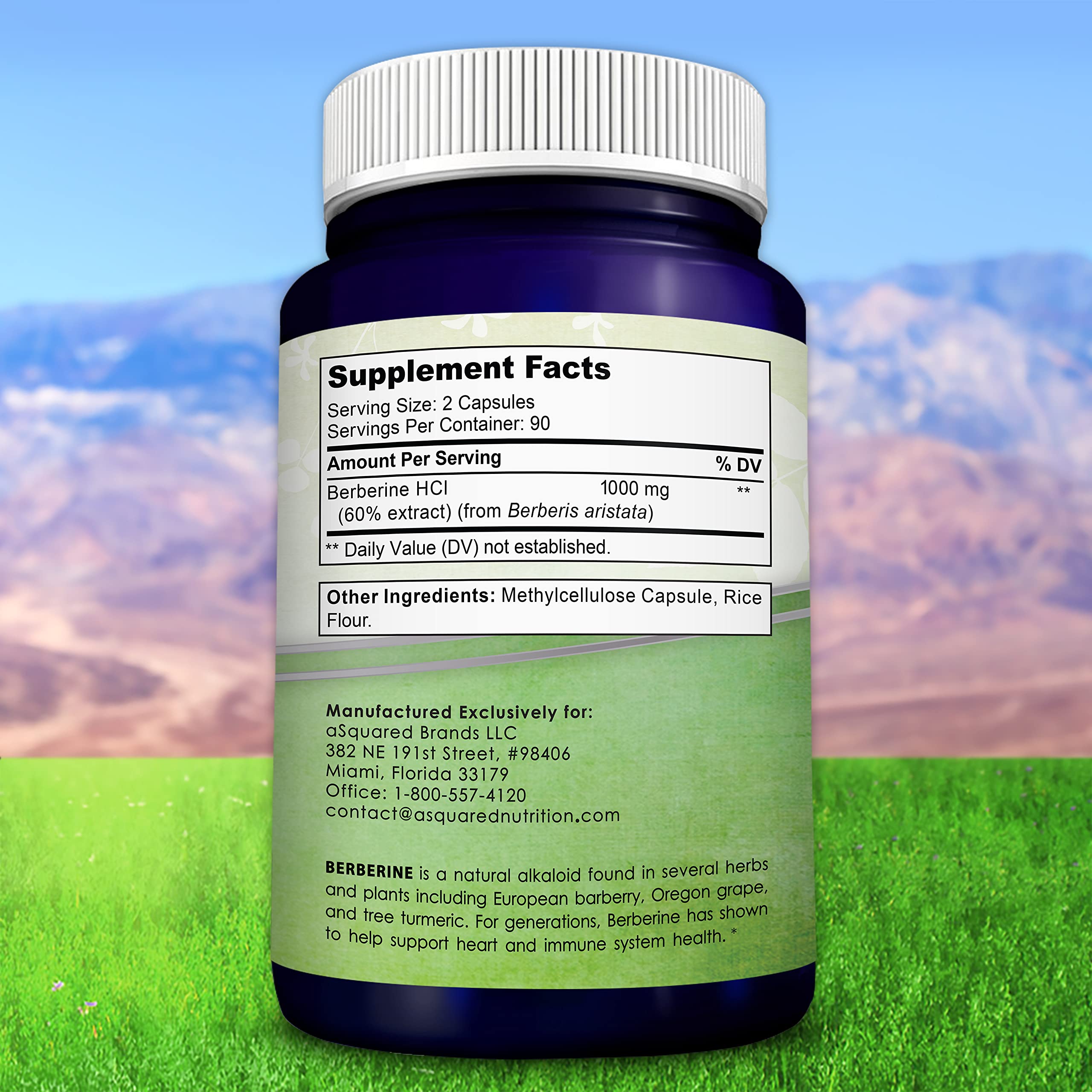 Embalaje de alta calidad de Berberina Pura 1000 mg, opción vegana
