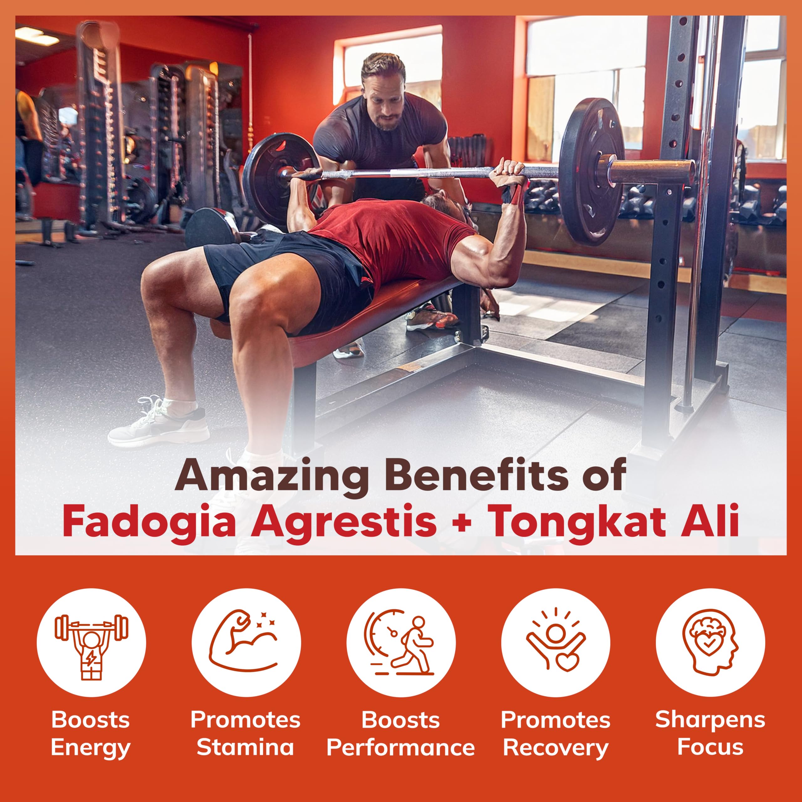 aSquared Nutrition Mezcla Fadogia y Tongkat Ali para rendimiento diario