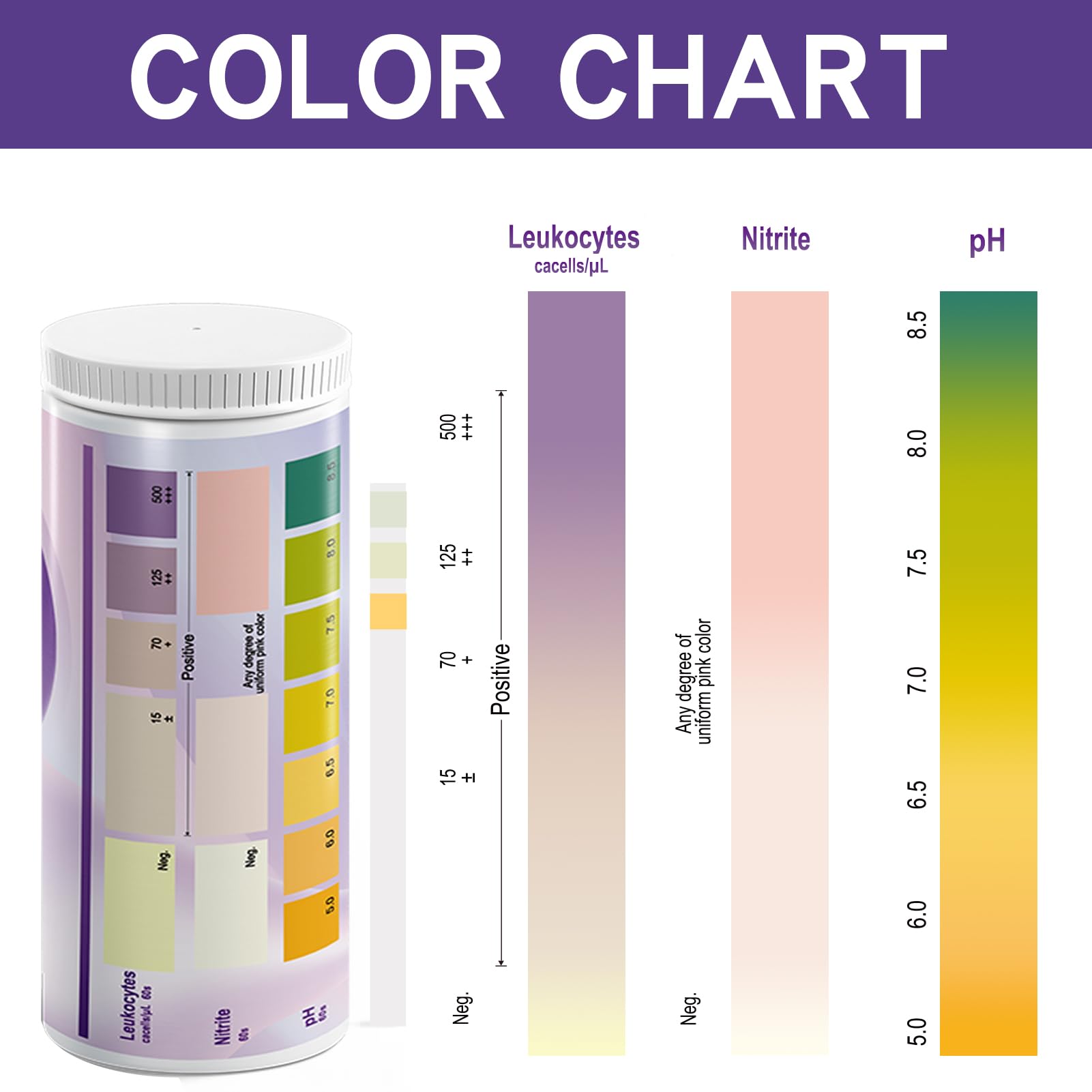 AssuTest UTI Test Strips: detección temprana posible con uso regular