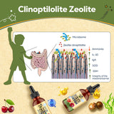 Atherionyxora Zeolita Detox para niños, dosis precisas por porción para uso diario