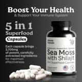 Atlantic Naturals cápsulas musgo marino shilajit etiqueta: práctica para tu plan de bienestar