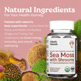 Atlantic Naturals gominolas para uso diario, ideal para personas activas.
