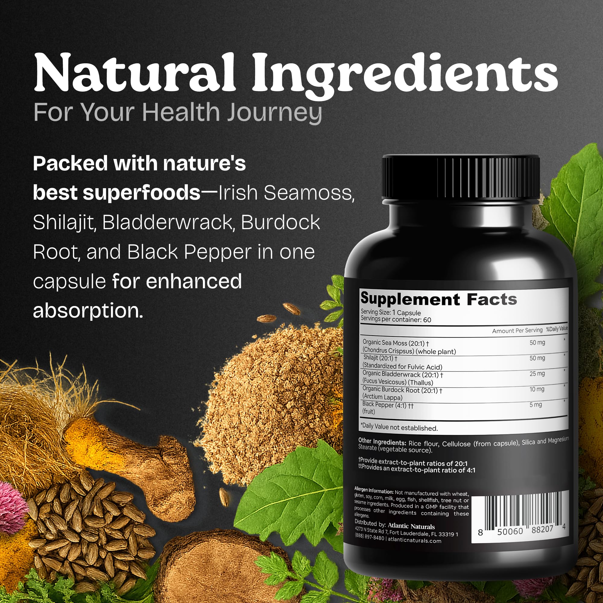 Atlantic Naturals mezcla fucus vesiculosus y raíz de bardana con pimienta negra: mejora potencial de absorción