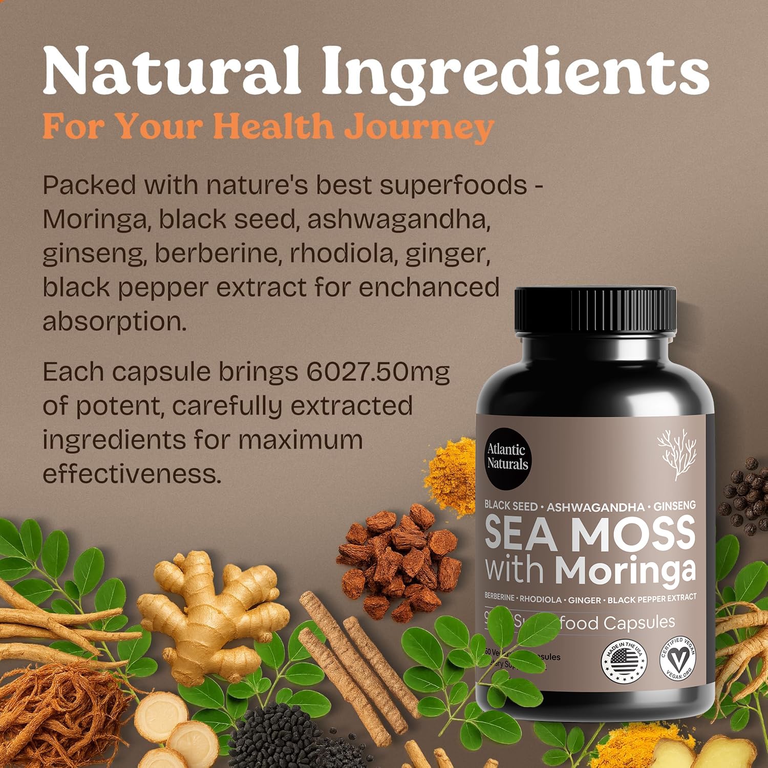 Moringa Atlantic Naturals hojas para nutrientes esenciales diarios.