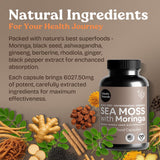 Moringa Atlantic Naturals hojas para nutrientes esenciales diarios.